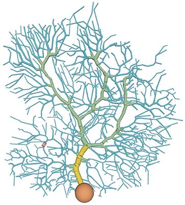 Discrimination and learning of temporal input sequences in a cerebellar Purkinje cell model